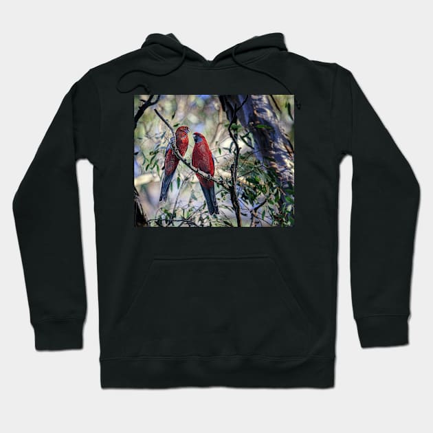 Crimson Pair Hoodie by Bevlyn